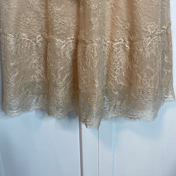 BCBg MaxAzria | Willa Lace Sleeveless Dress in Cream Tan - tiered layers - small - Picture 6 of 9